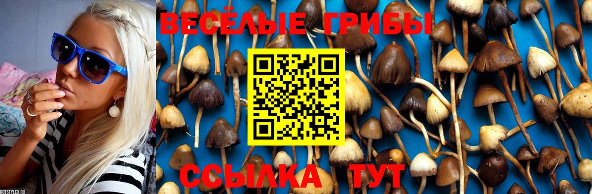 Псилоцибиновые грибы Magic Shrooms Калуга